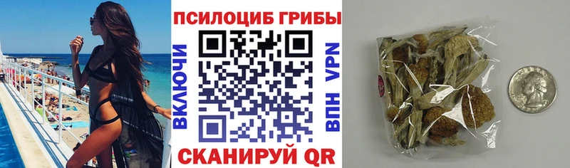 Купить  Сарапул  Псилоцибиновые грибы Cubensis 